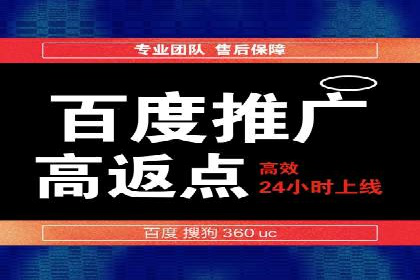SEM运营公司经典案例点评